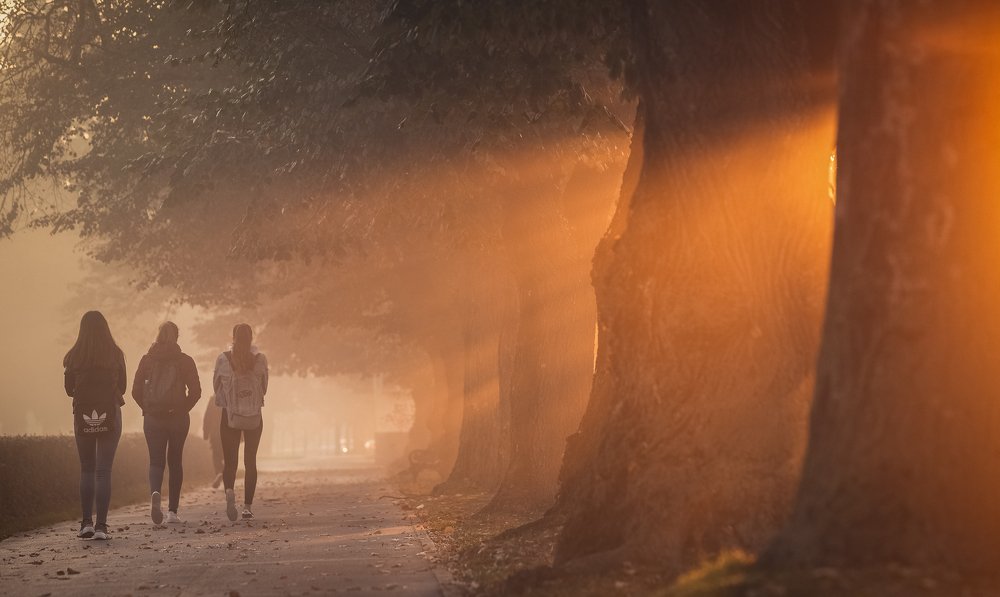 Photograph by Samir Kurtagić