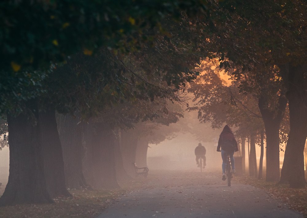 Photograph by Samir Kurtagić