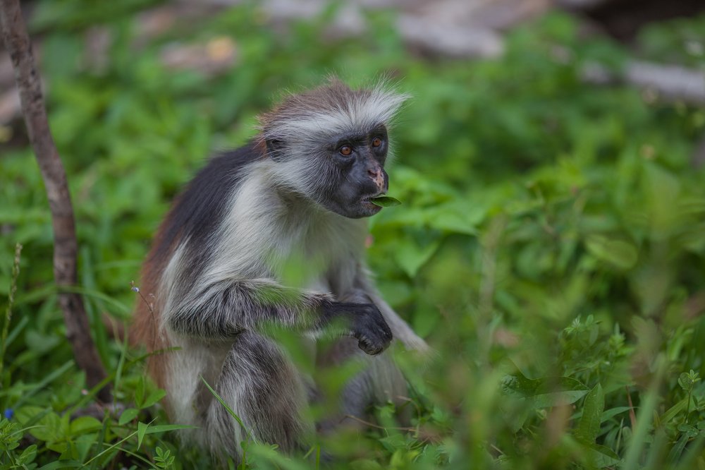 Photograph by Наталья Домбак