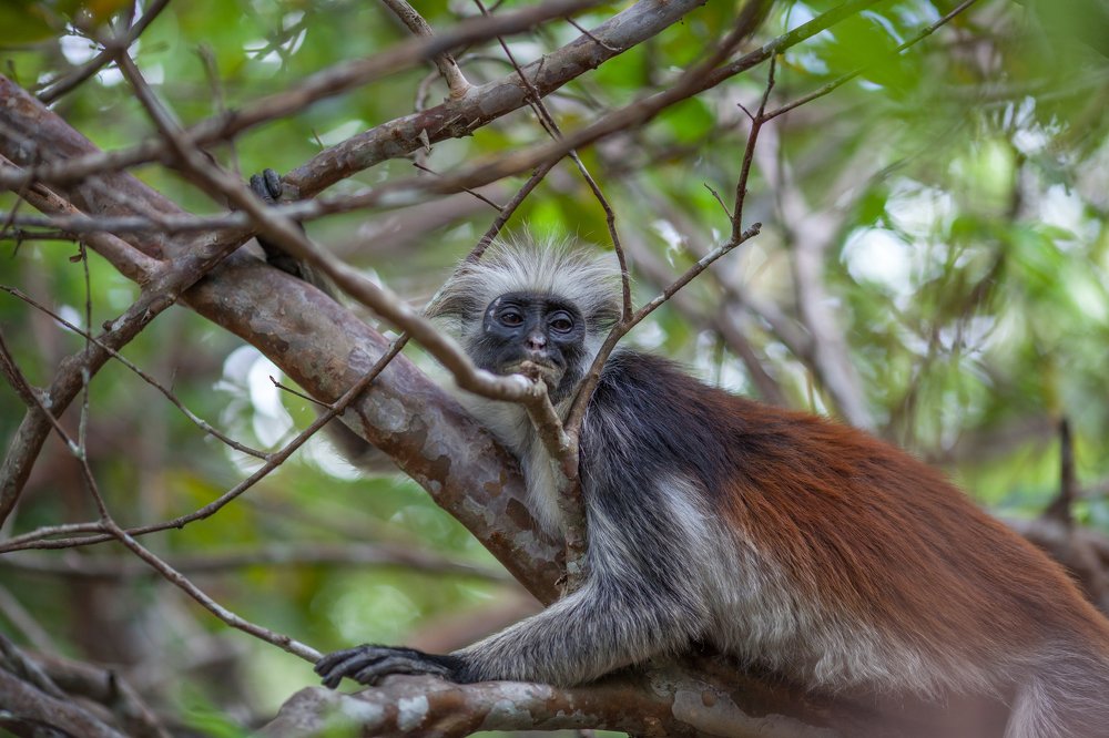 Photograph by Наталья Домбак