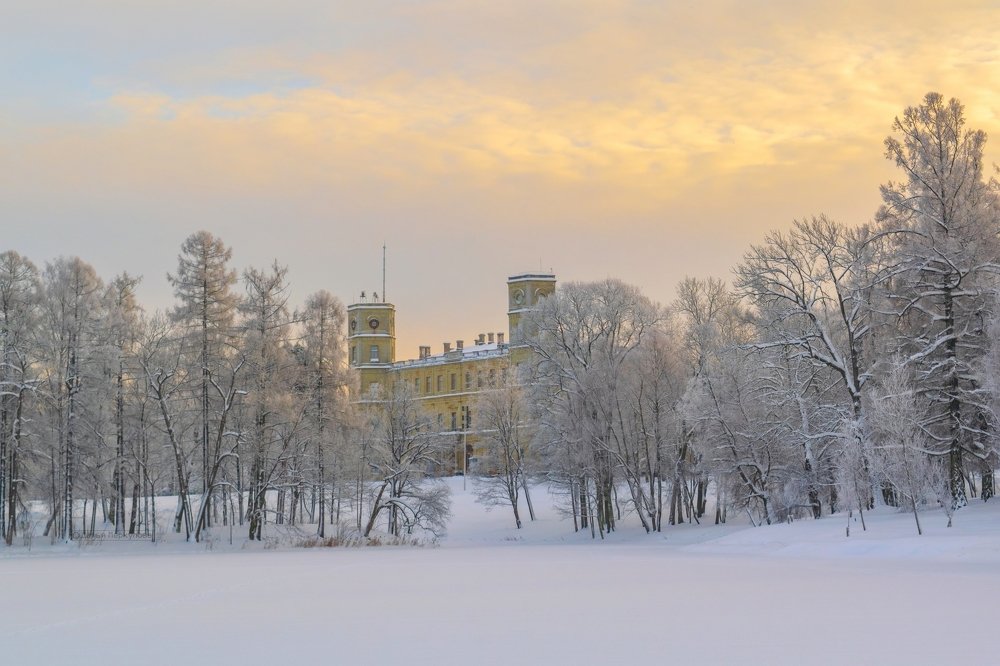 Photograph by Дарья Меркулова