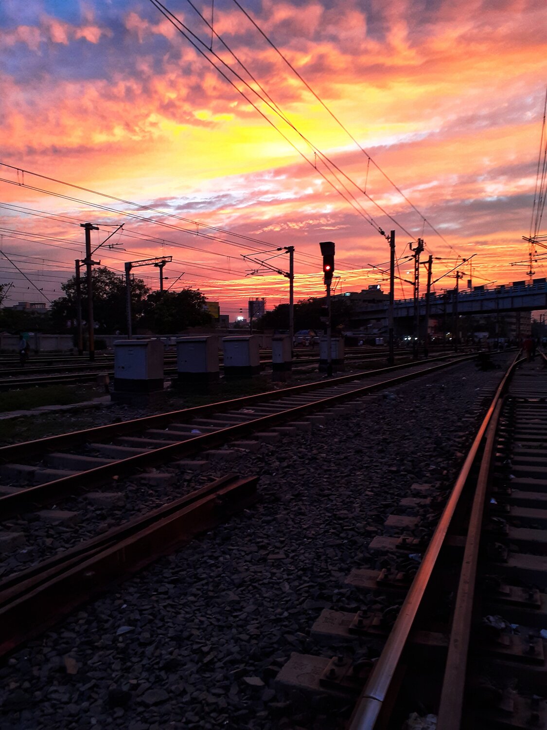 Photo #4224840
