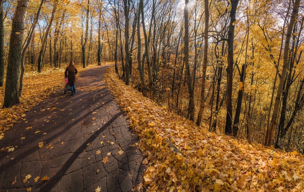 Photograph by Кирилл Огинов