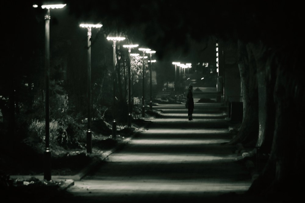 Photograph by Леван Габечава