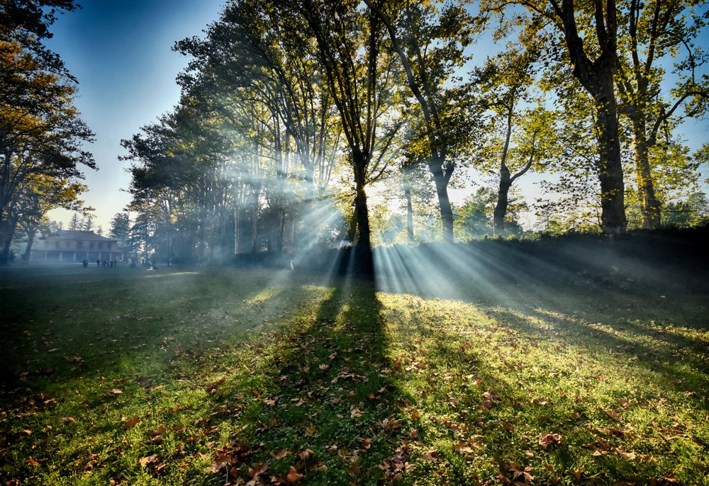 Photograph by Леван Габечава