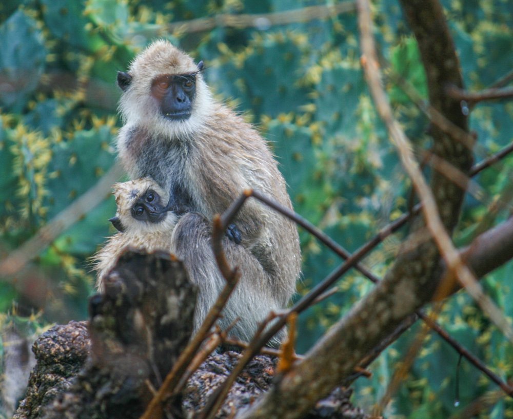 Photograph by Наталья Домбак