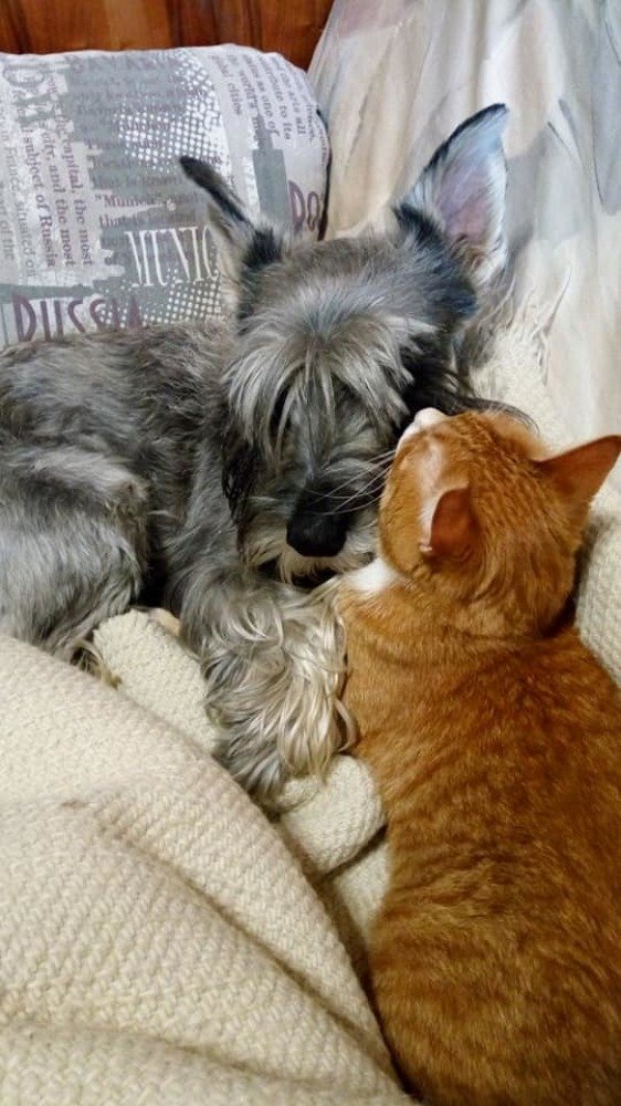 Photograph by Елена Фомичёва