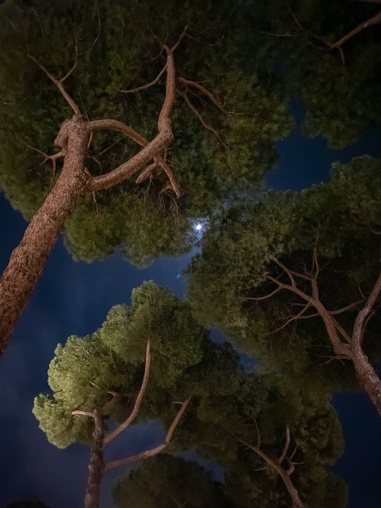 Photograph by Maria Koval