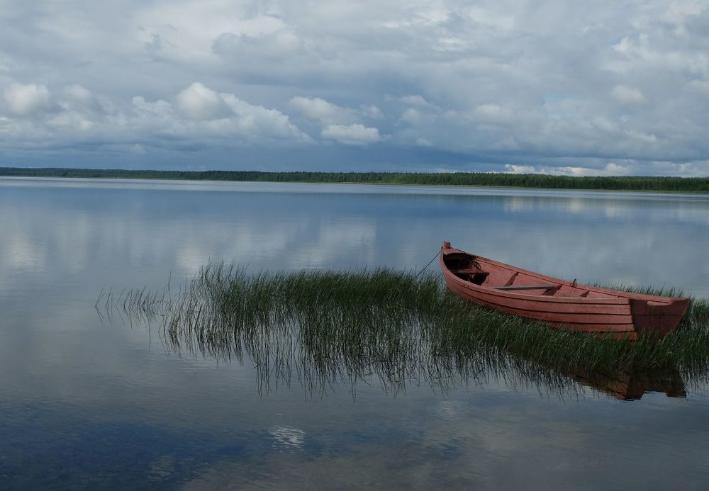 Photograph by Ираида Стародубцева