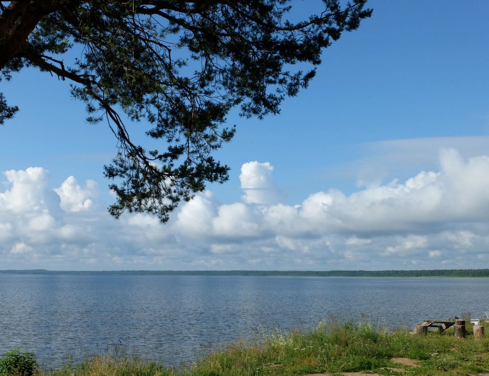 Photograph by Ираида Стародубцева