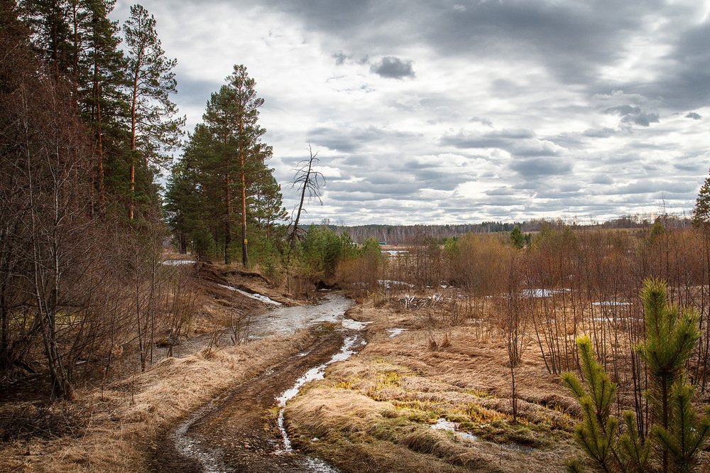 Photograph by Андрей Зарецкий