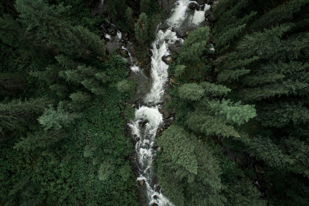 Photograph by Александр Нерозя