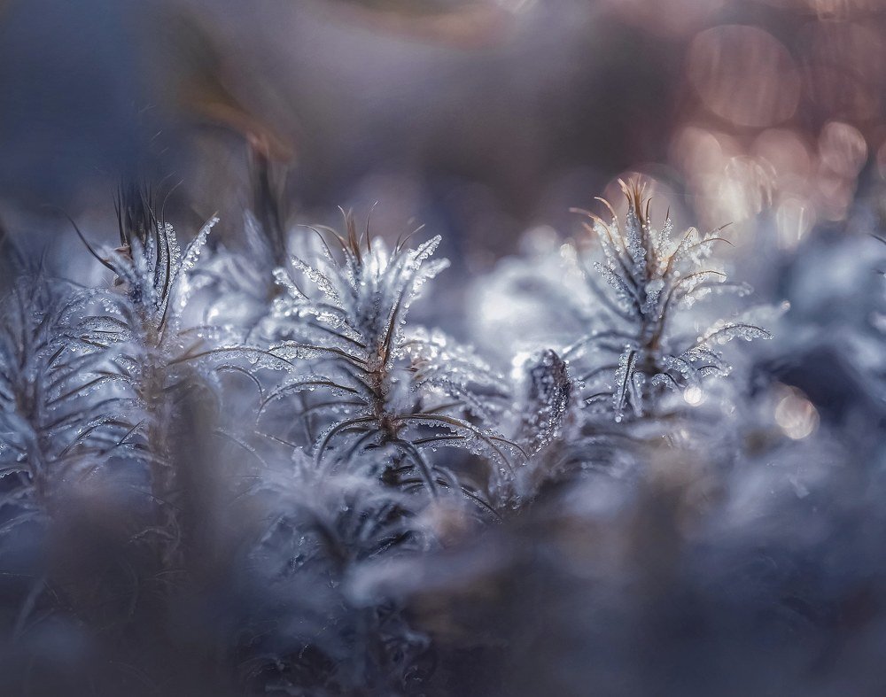 Photograph by Юлия Ильина