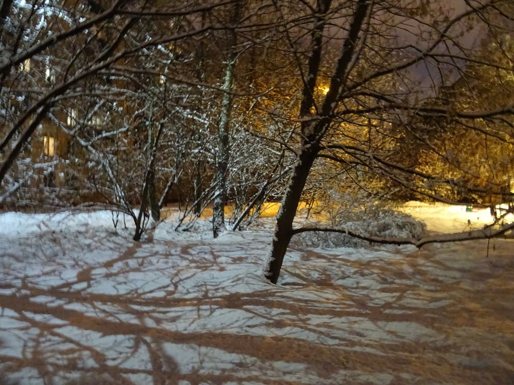 Зимний вечер
