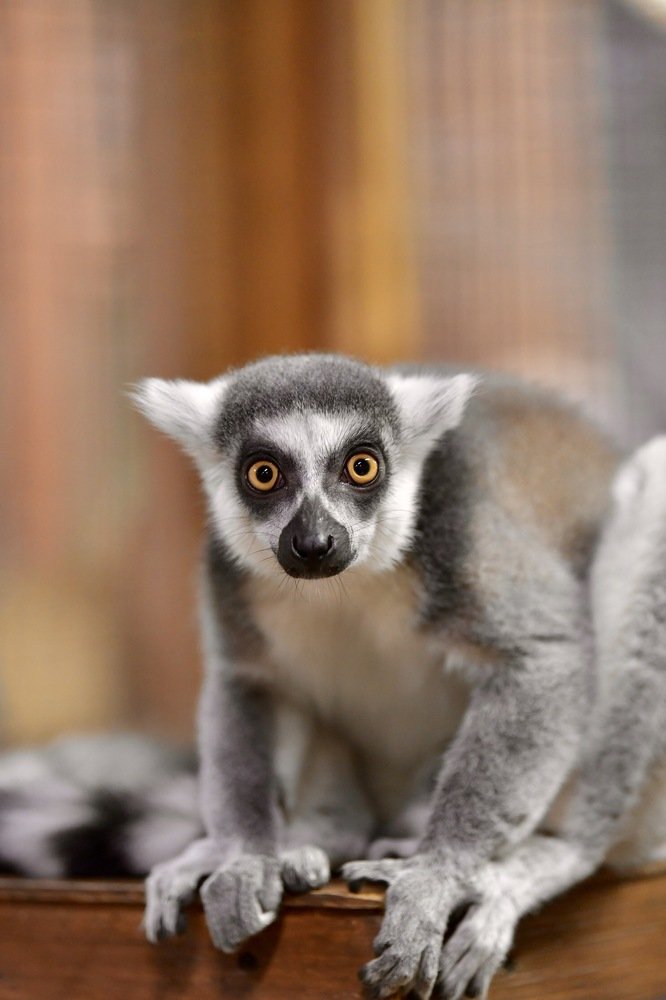 Photograph by Vitaliy Skrypnyk