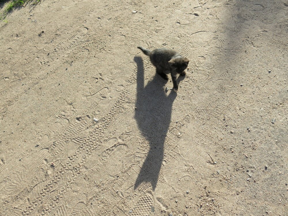 Photograph by ЭЛЬМИРА  ИСМАИЛОВА