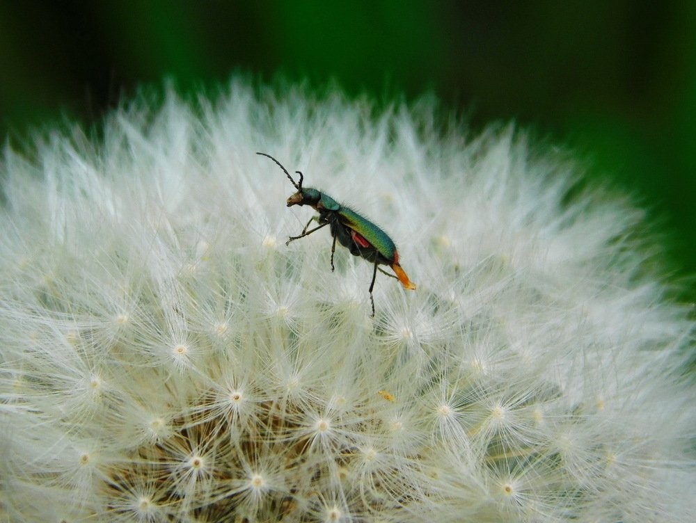 Photograph by Анастасия Рысь