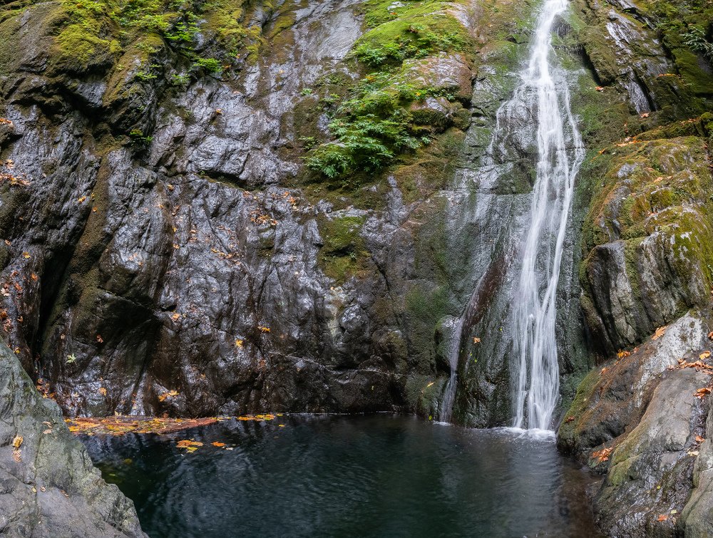 Photograph by Сергей Пестерев