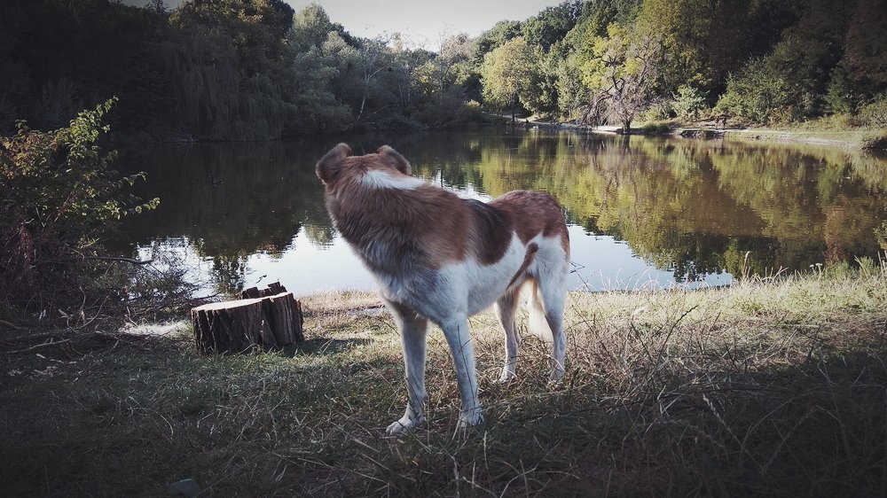 Photograph by Юлия Хоменко