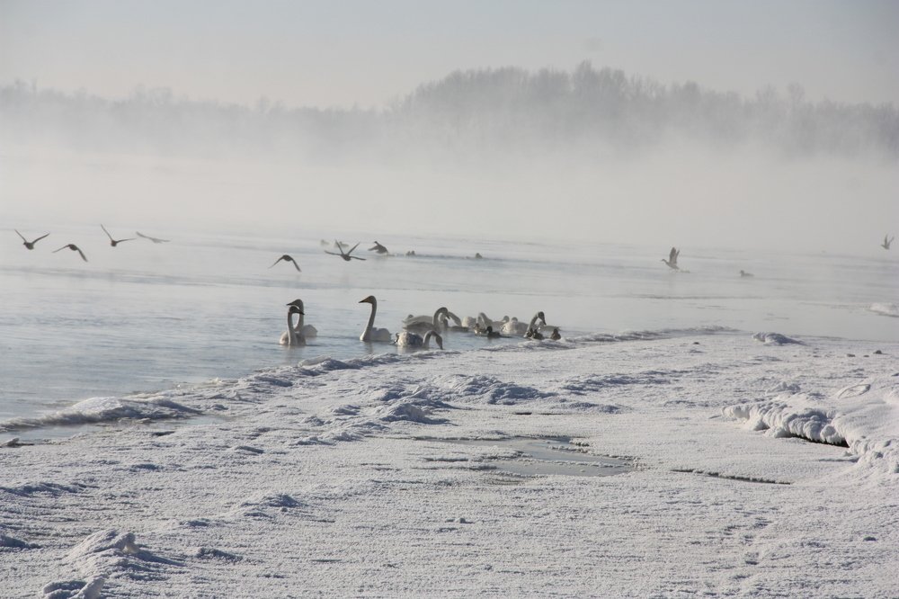 восход на реке