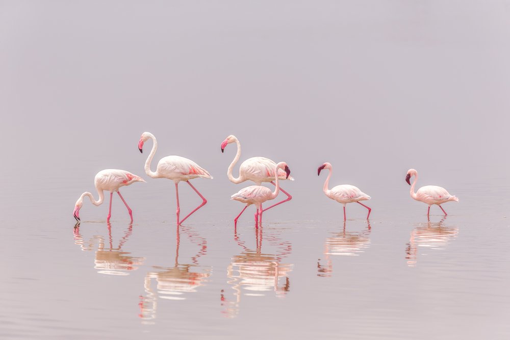 Photograph by Eiji Itoyama