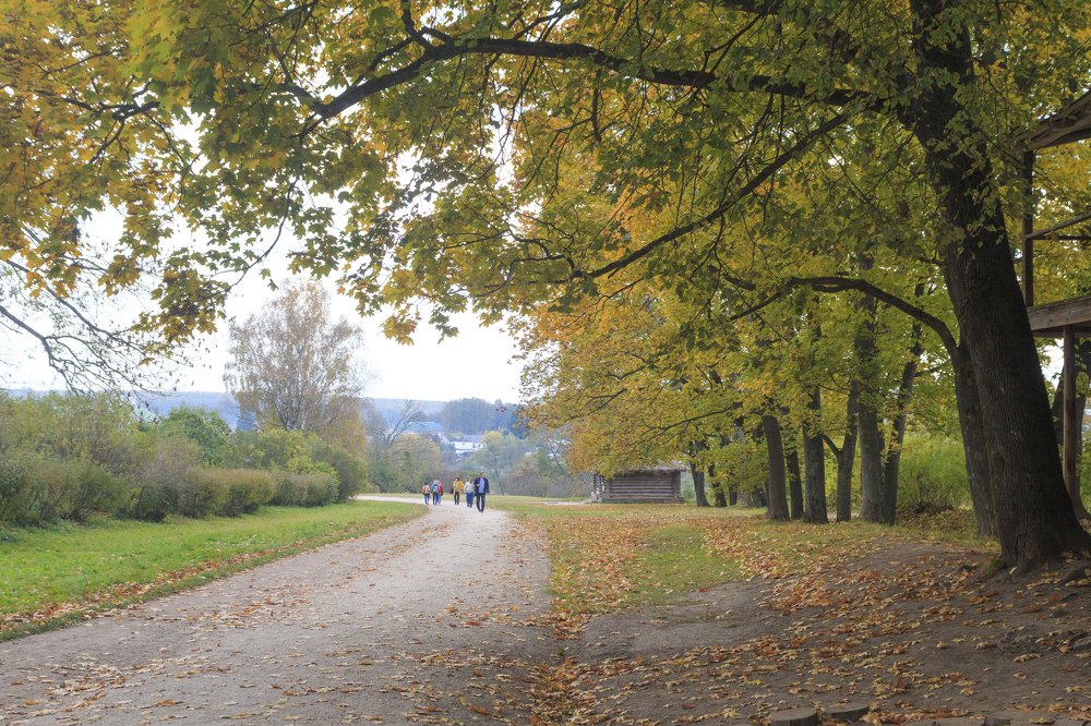 Photograph by Алексей Харламов