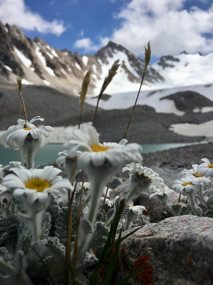 Вне зоны доступа сети!