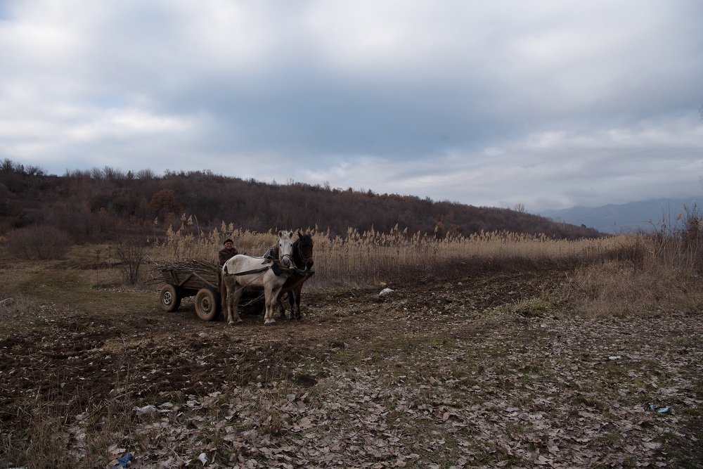 Photograph by Галина Баранова