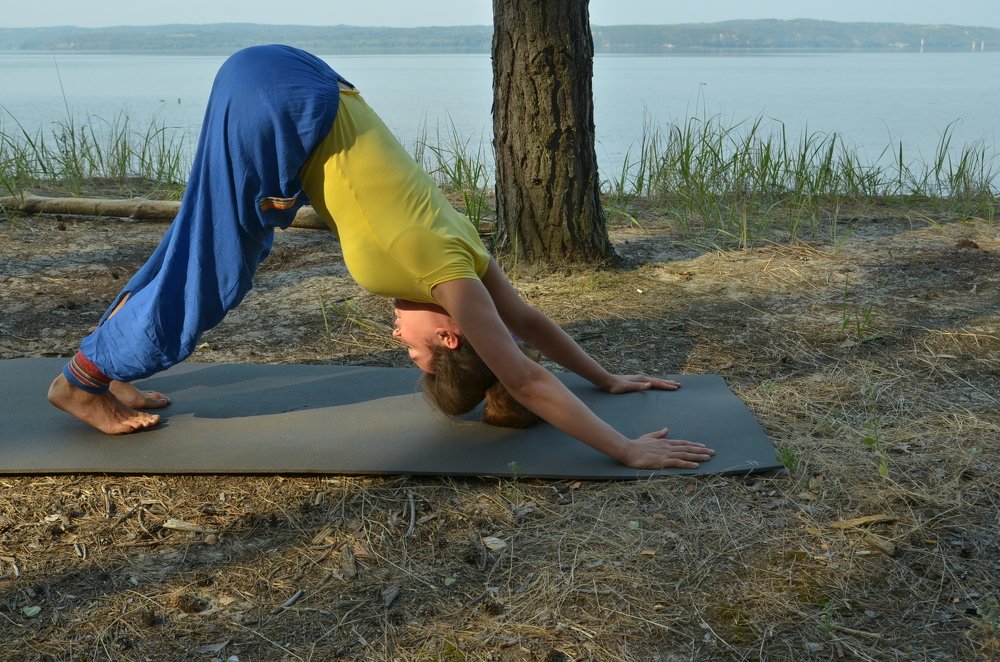 Фотография автора Владимир Брызгунов