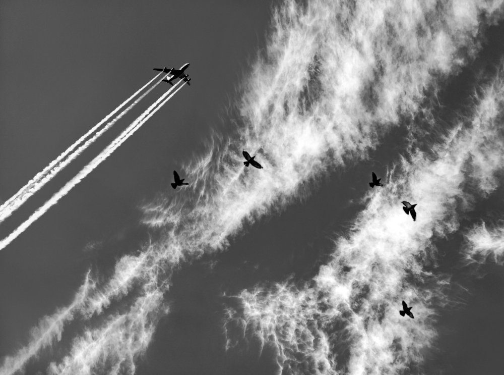 Фотография автора Сергей Кондрюк