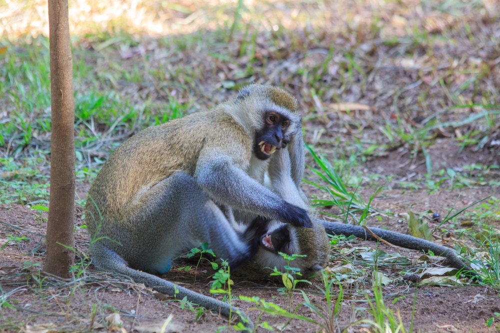 Photograph by Михаил