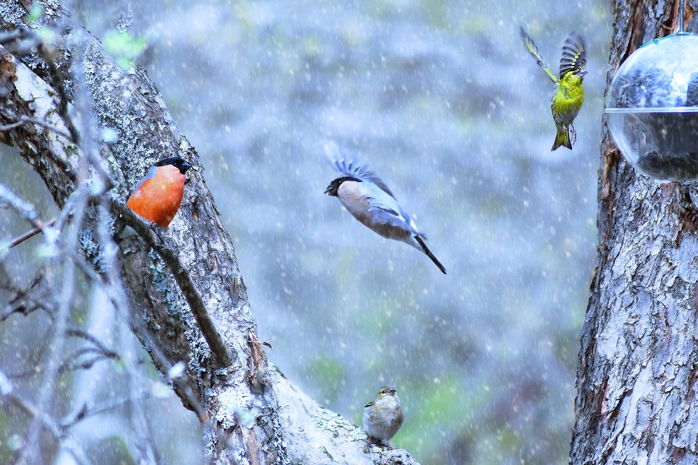 Photograph by Константин Юрченко