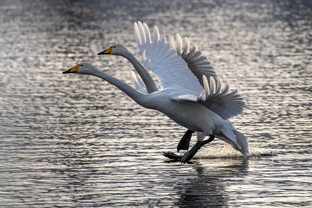 Photograph by Евгений Санин