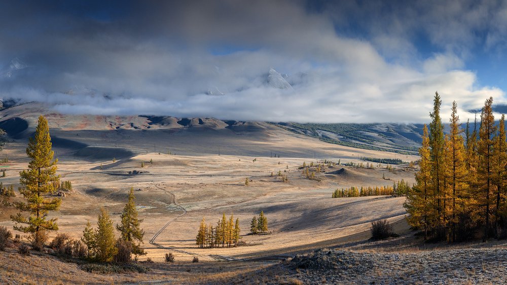 Photograph by Николай Бузмаков