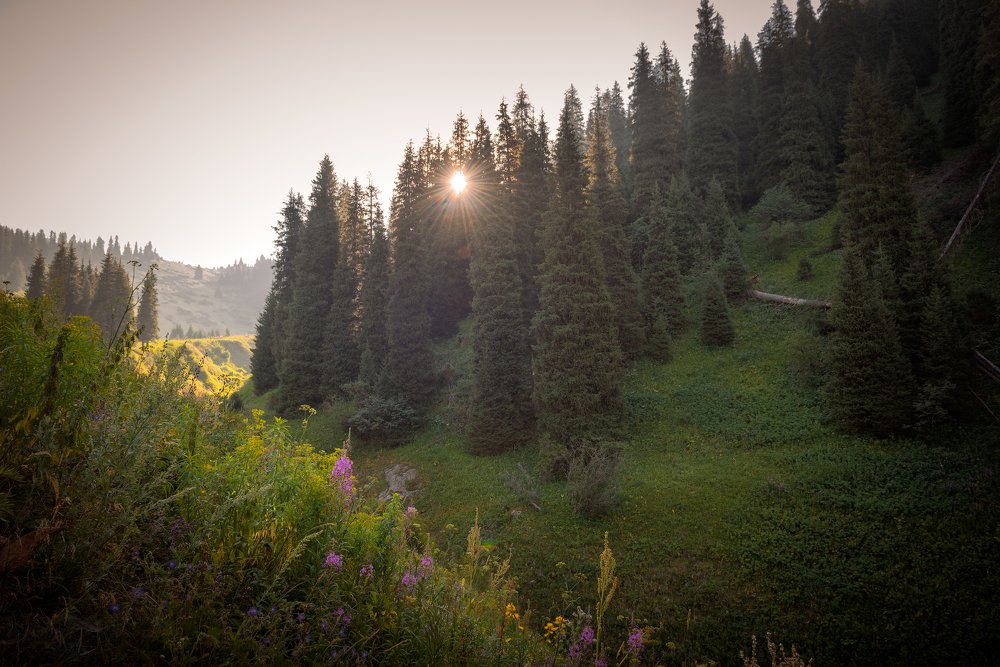 Photograph by Alexandr Kotlyar