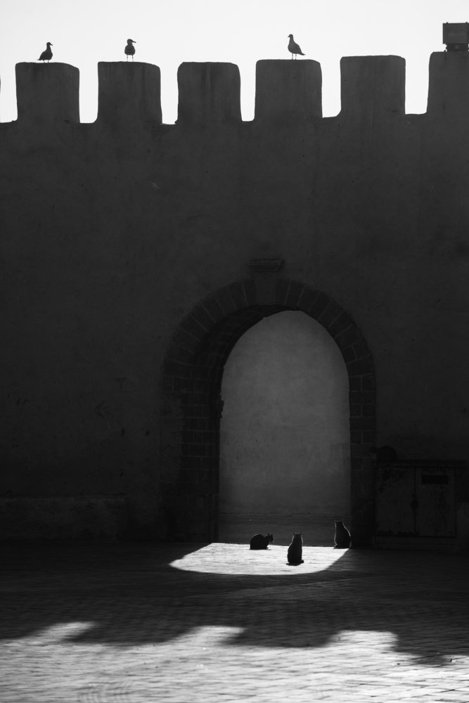 Фотография автора konstantin zhdanov