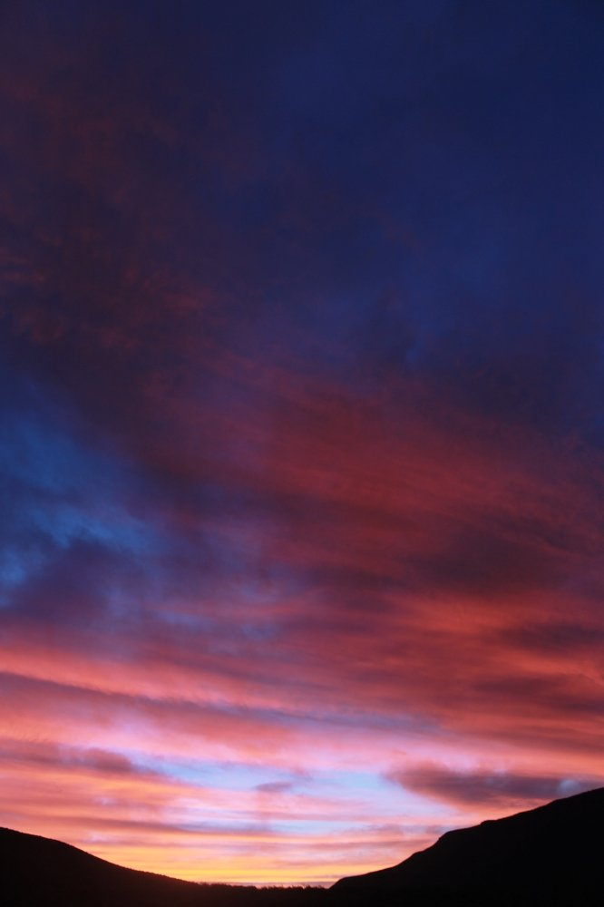 Photograph by Siobhan Noffke