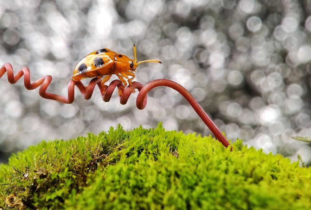 Photograph by adi wijayanto