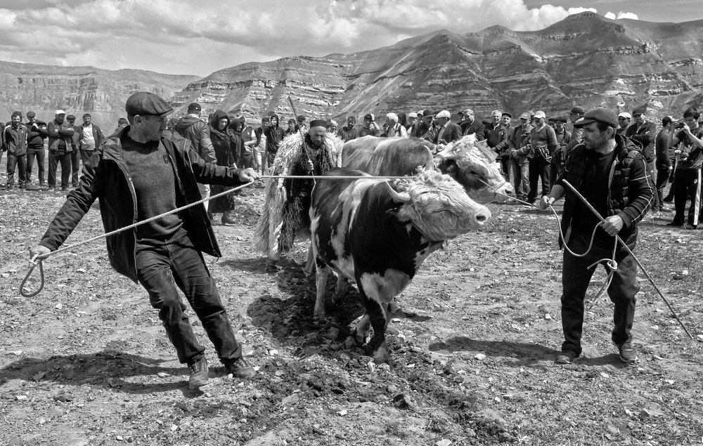 Праздник первой борозды..