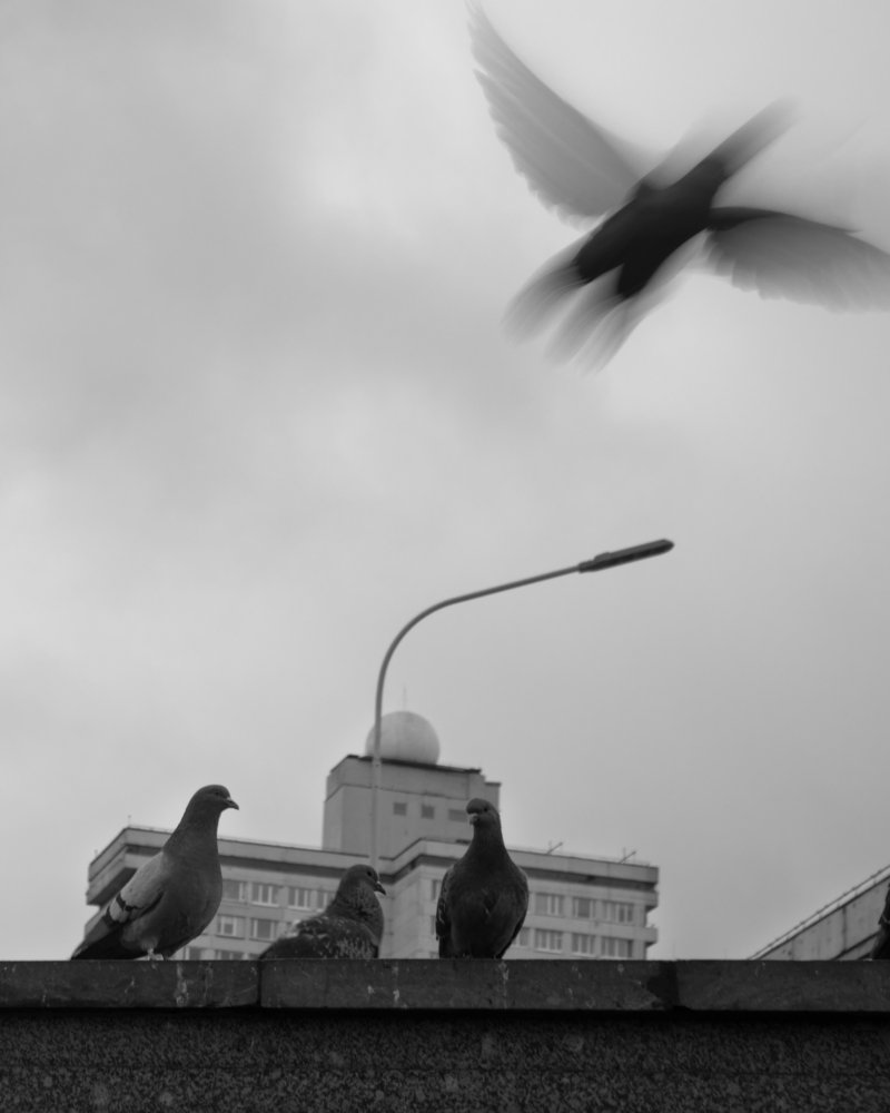 Photograph by Юлия Красильникова