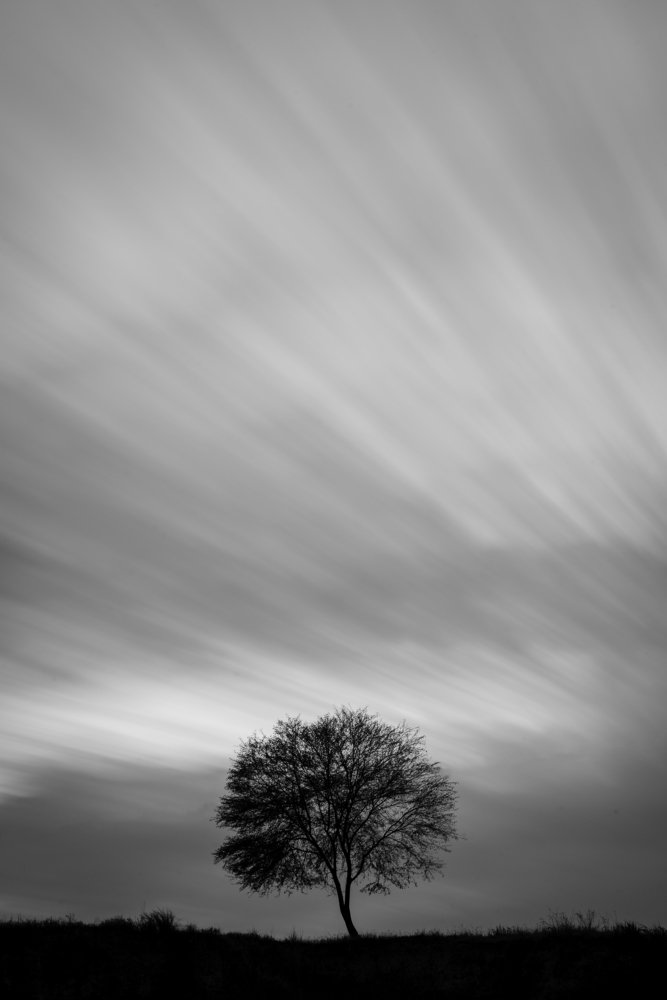 “Black and white creates a strange dreamscape that color never can.” – Jack Antonoff