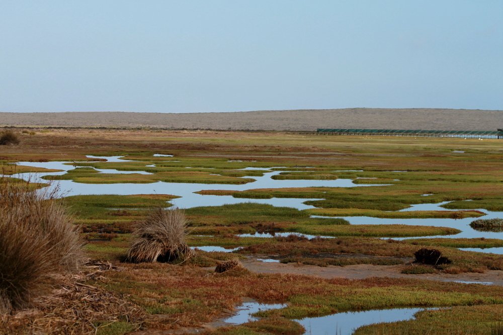 Photograph by Siobhan Noffke