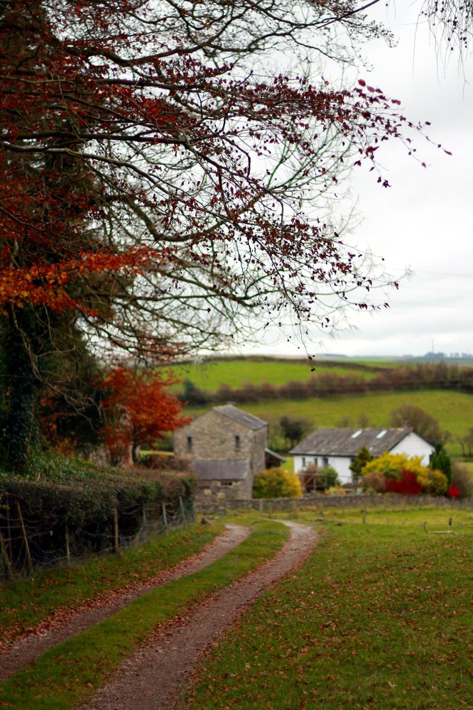 Photograph by Siobhan Noffke