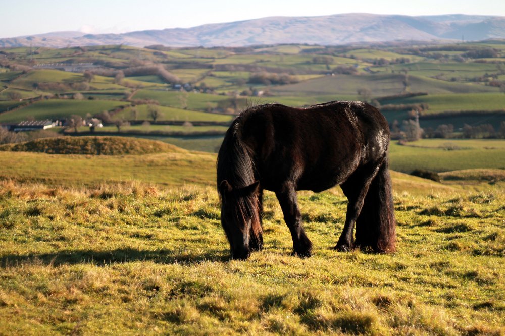 Photograph by Siobhan Noffke