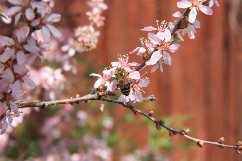 Photograph by Андрей Беспалов