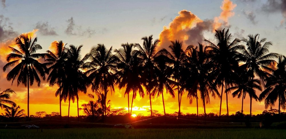 Photo #4226234