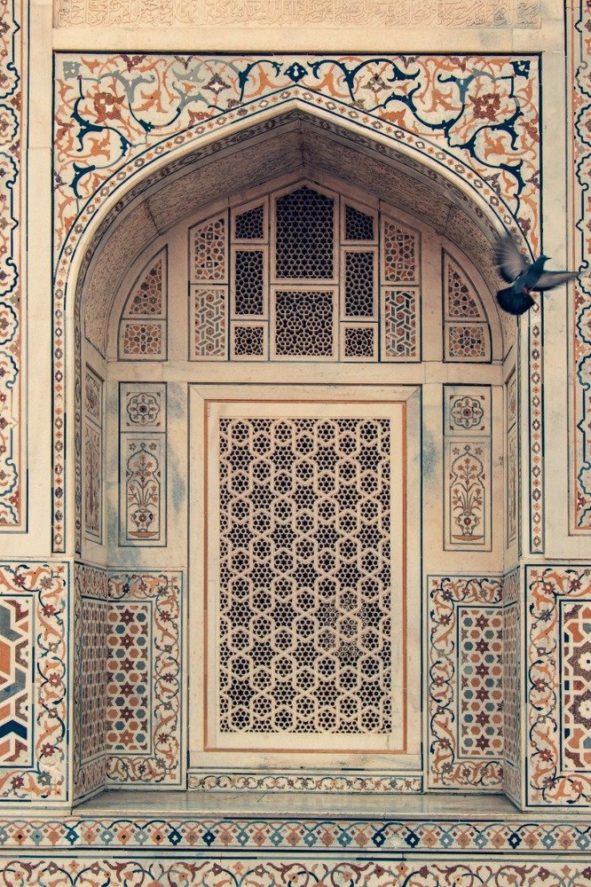 Photograph by Bhupendra Bagla