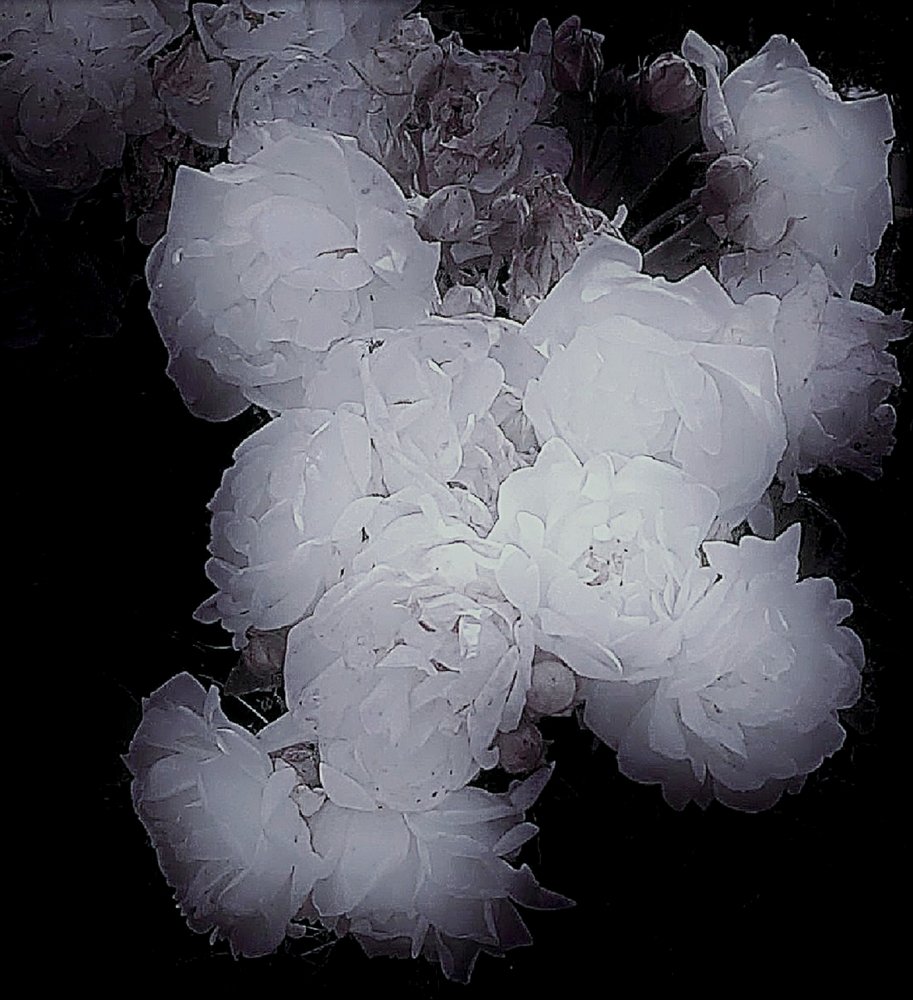 Photograph by Алия Байсыкова