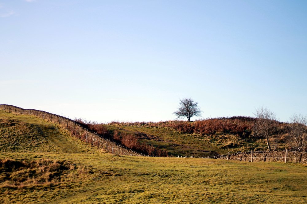 Photograph by Siobhan Noffke