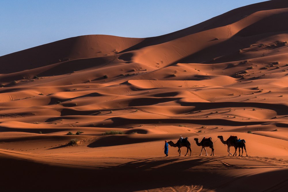 Фотография автора konstantin zhdanov